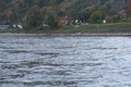 Bojen markieren die Absturzstelle in der Donau